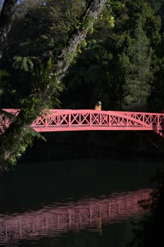  Red bridge