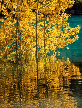 Golden trees reflected on turquoise water