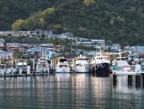 Picton Marina and houses