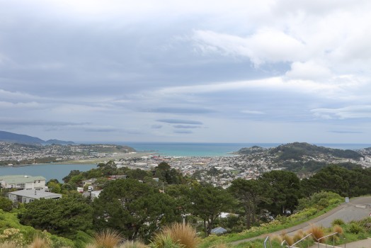Cloudy day view of Wellington