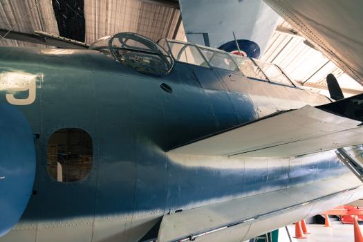 Blue bomber aircraft