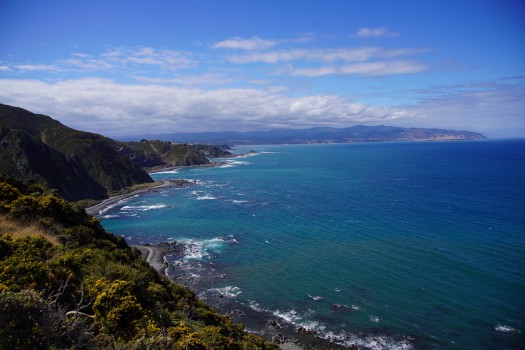 South Coast Wellington View