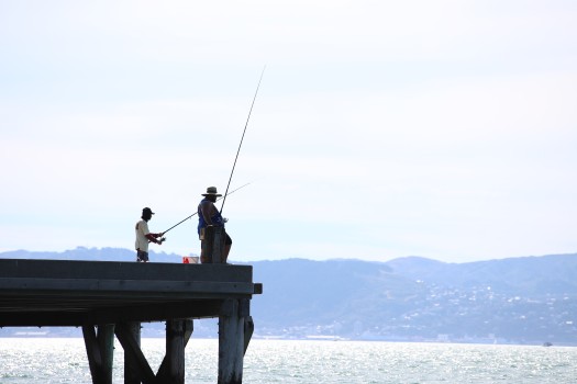 People fishing from the pier