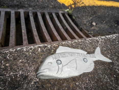 Drains Rain Fish Sign