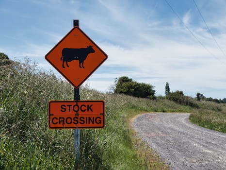Stock crossing sign