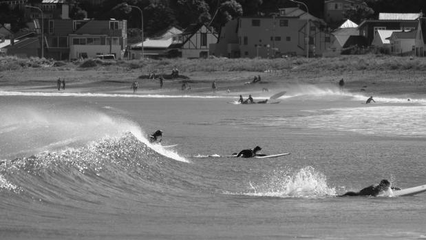 Surfing in Wellington