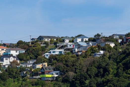 Wellington green neighbourhood