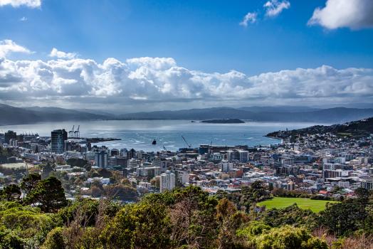 Wellington city panorama