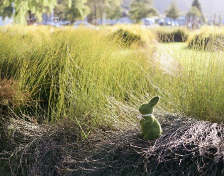 Green Easter bunny toy in tall vegetation