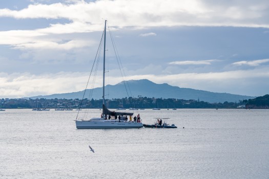 Yacht and Rangitoto