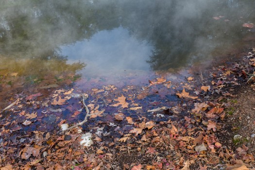 Autumn leaves and steam
