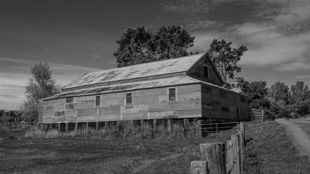 Black and White woolshed