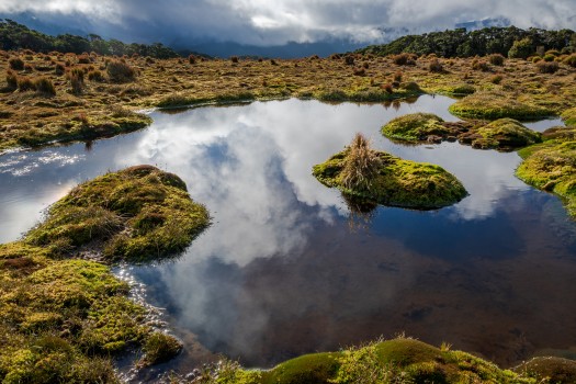 Alpine wetland, Tararua Ranges