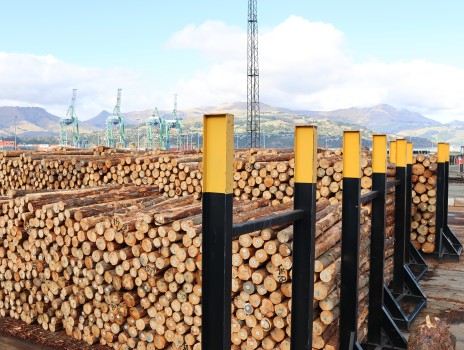 Log export