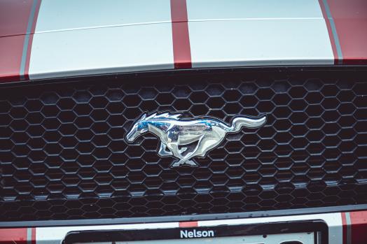 Ford Mustang's silver horse