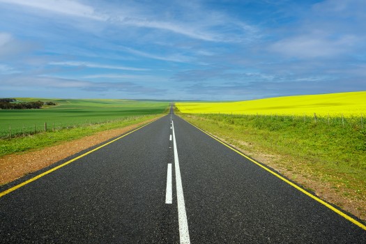 Long road running through a yellow field