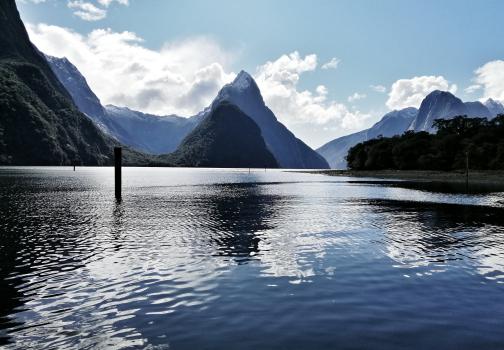 Milford Sound harbour 