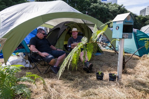 Protest  campers with a garden