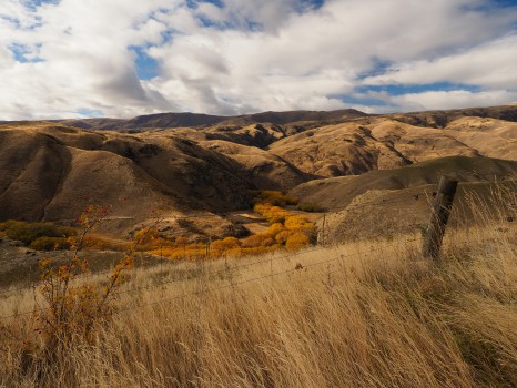 The Rolling Hills of Central Otago in Autumn