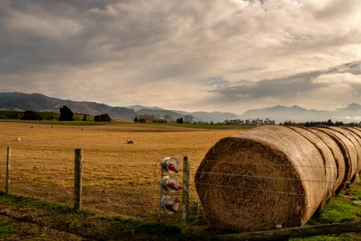 Hay Bales on the farm