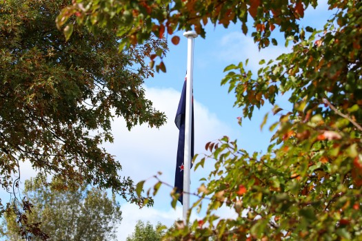 NZ flag through tree branches, ANZAC 2022
