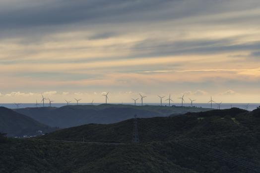 Windmills in the evening