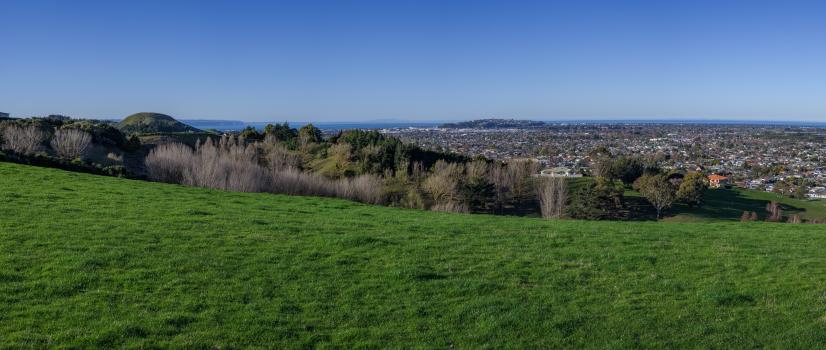 Napier from Dolbel Reserve