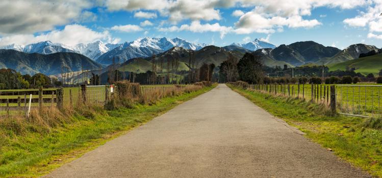 Rural road in the Wairarapa