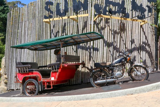 Passenger cart towed to motorbike