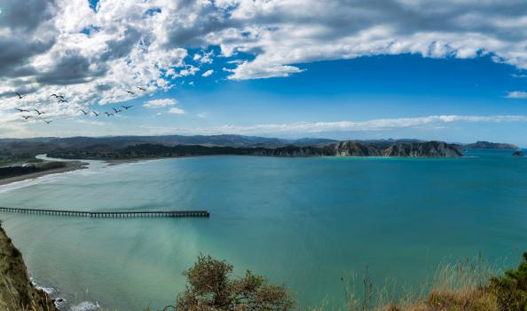 Tolaga bay from Captain Cook Lookout