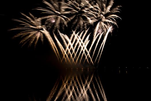 Palm Tree Fireworks