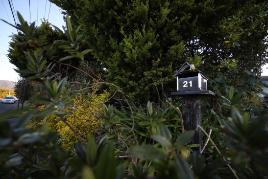 Mailbox number 21 amidst plants