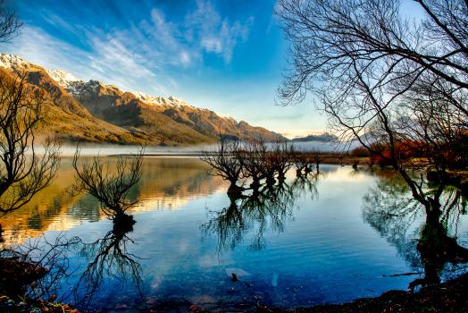 Glenorchy willows