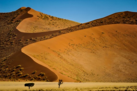 Desert Dunes at Sossusvlei