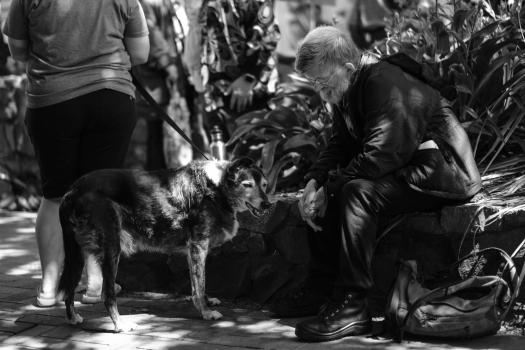 Old man and a dog on leash black and white