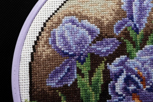 Iris cross stitch