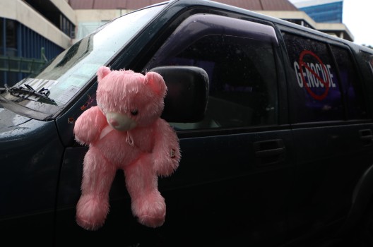 Pink teddy bear on car - Convoy 2022 protest