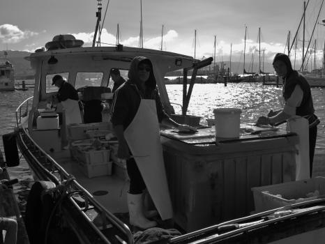 Staff at the boat fish shop monochrome