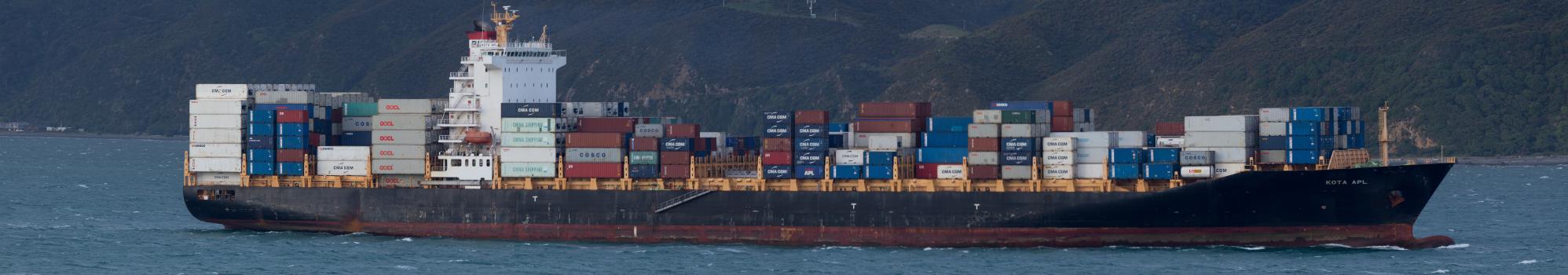 Long shipping container cargo ship panorama