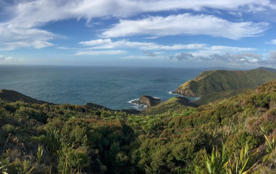 Cape Reinga scenery