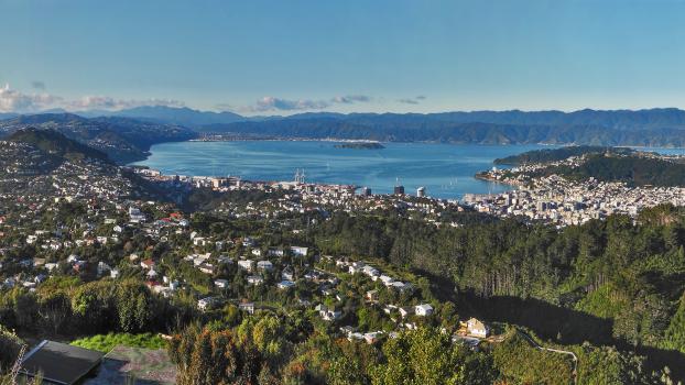 Wellington from Wrights Hill 