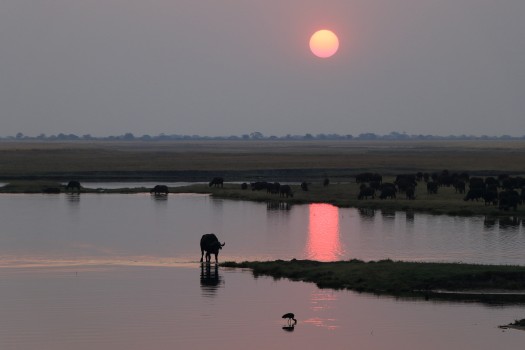 Sunset on the Chobe River in Botswana