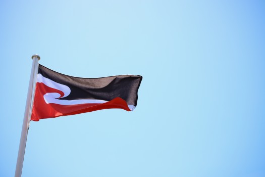 Waving Māori flag waving proudly