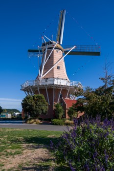 De Molen Windmill and plants