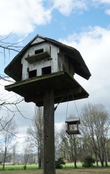 Birdhouse and birdfeeder