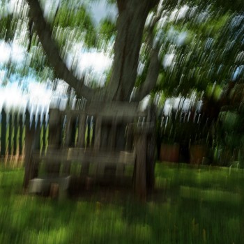 Wooden seat under the tree
