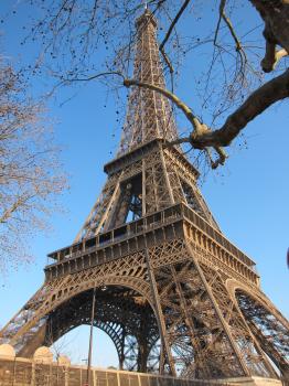 Eiffel tower blue sky and tree branches Paris France