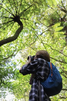 Tree canopy and photographer