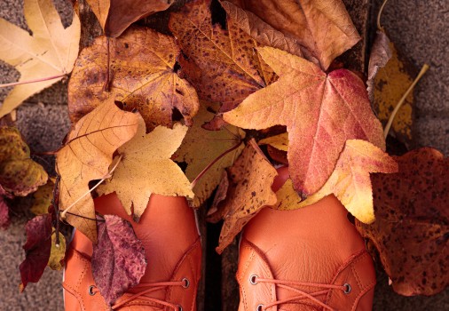 Autumn leaves on orange boots