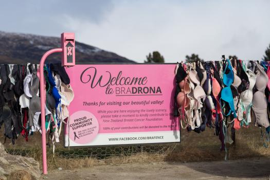 Bradrona supports the NZ breast cancer foundation
